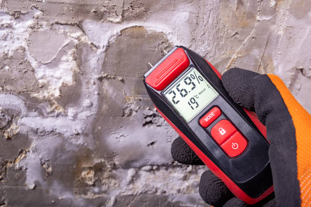 Best Mold Testing and Inspection Services in Clearwater, MN